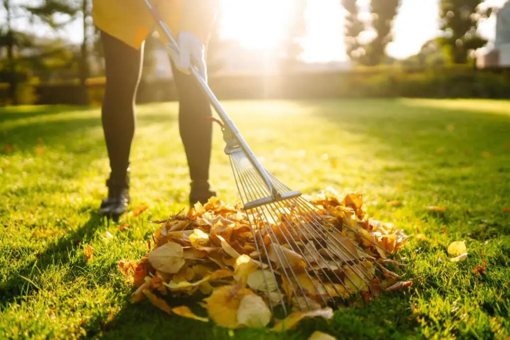 Yard maintenance