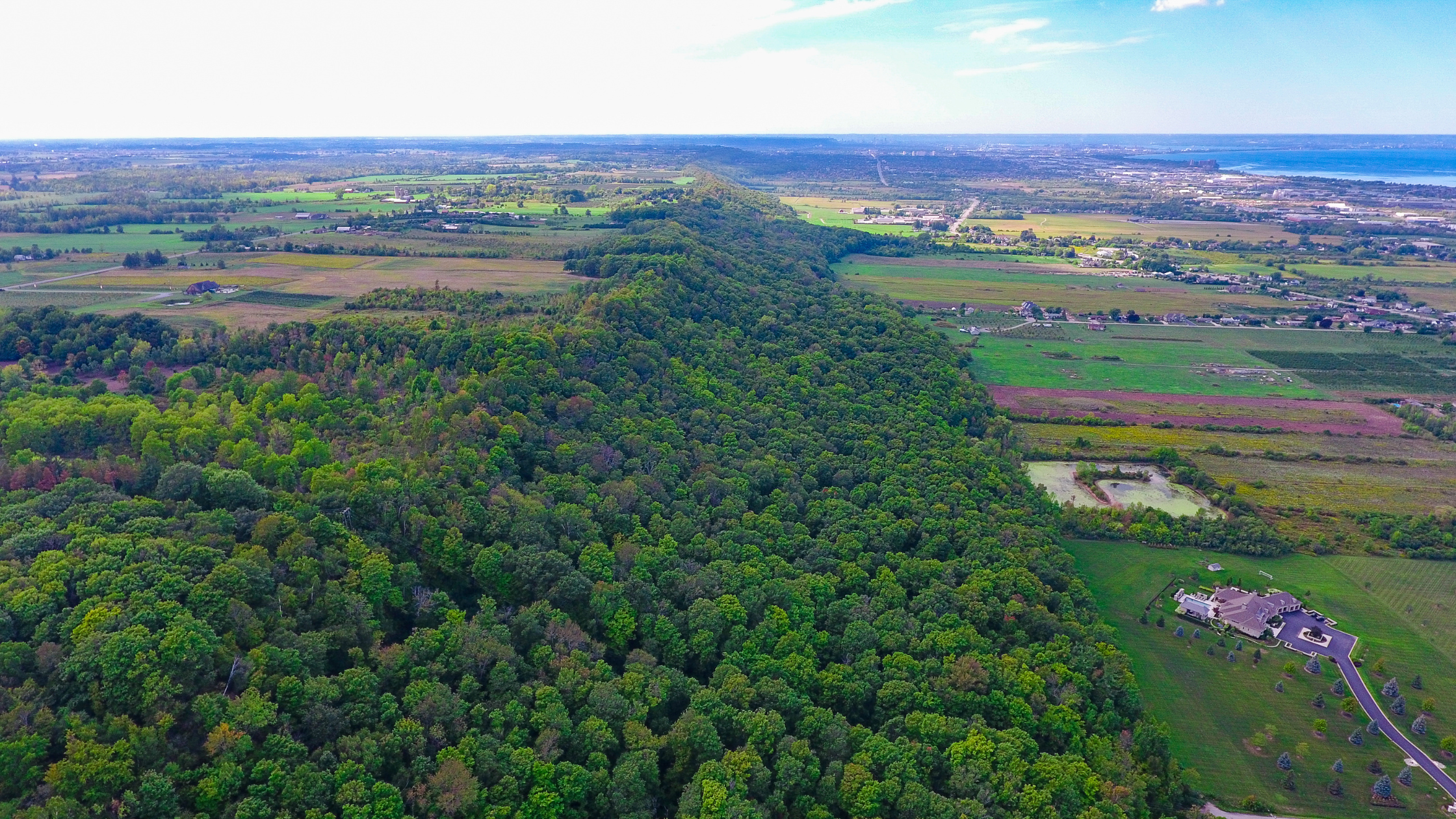 Rural Hamilton 1