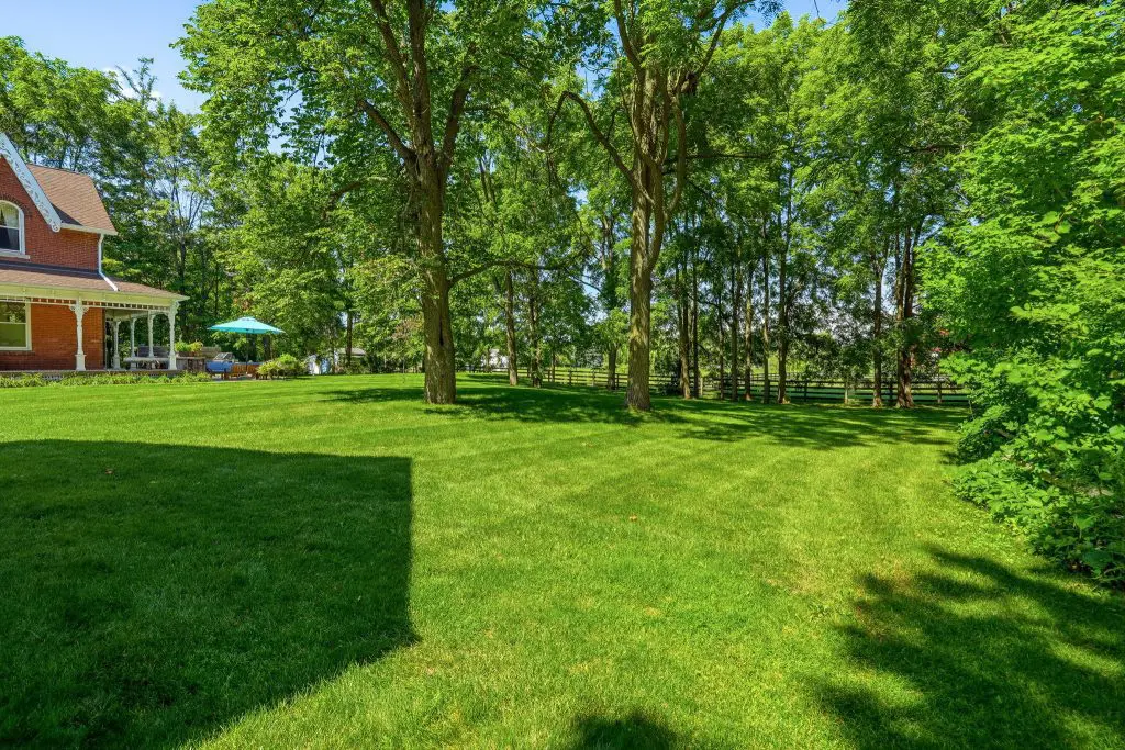 16 web or mls EXTERIOR 10 2
