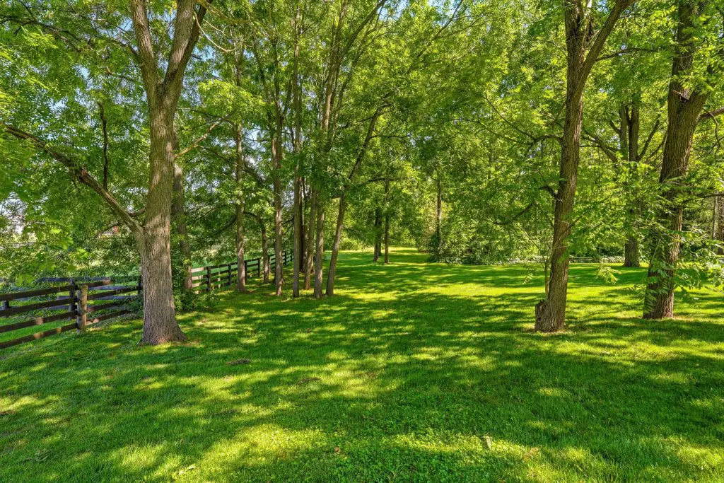 22 web or mls EXTERIOR 25 2