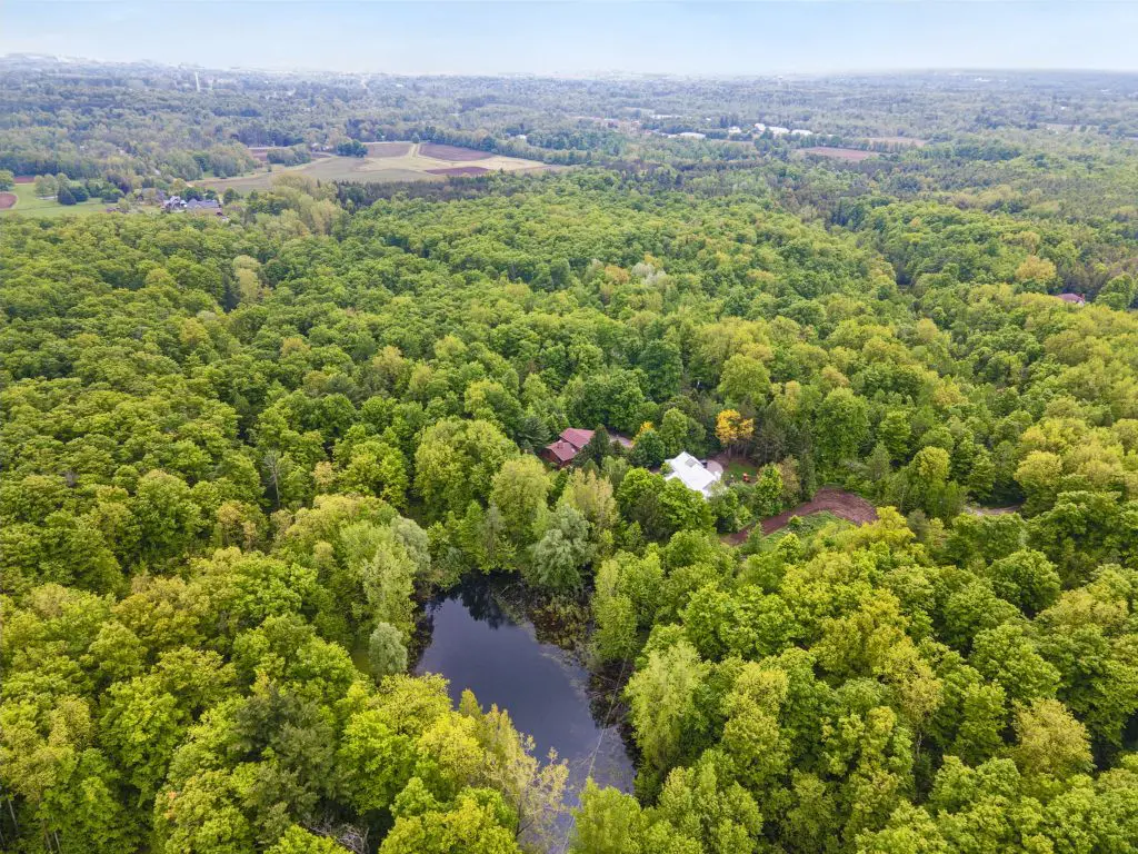 142 web or mls 7575 Milburough Town Line Milton 98 1