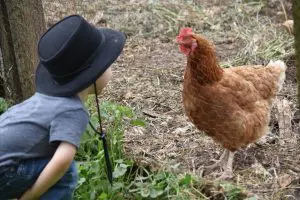 20250612farmcrawlhamilton04