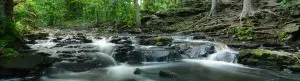 titlebanners naturesspaces 1920x5203