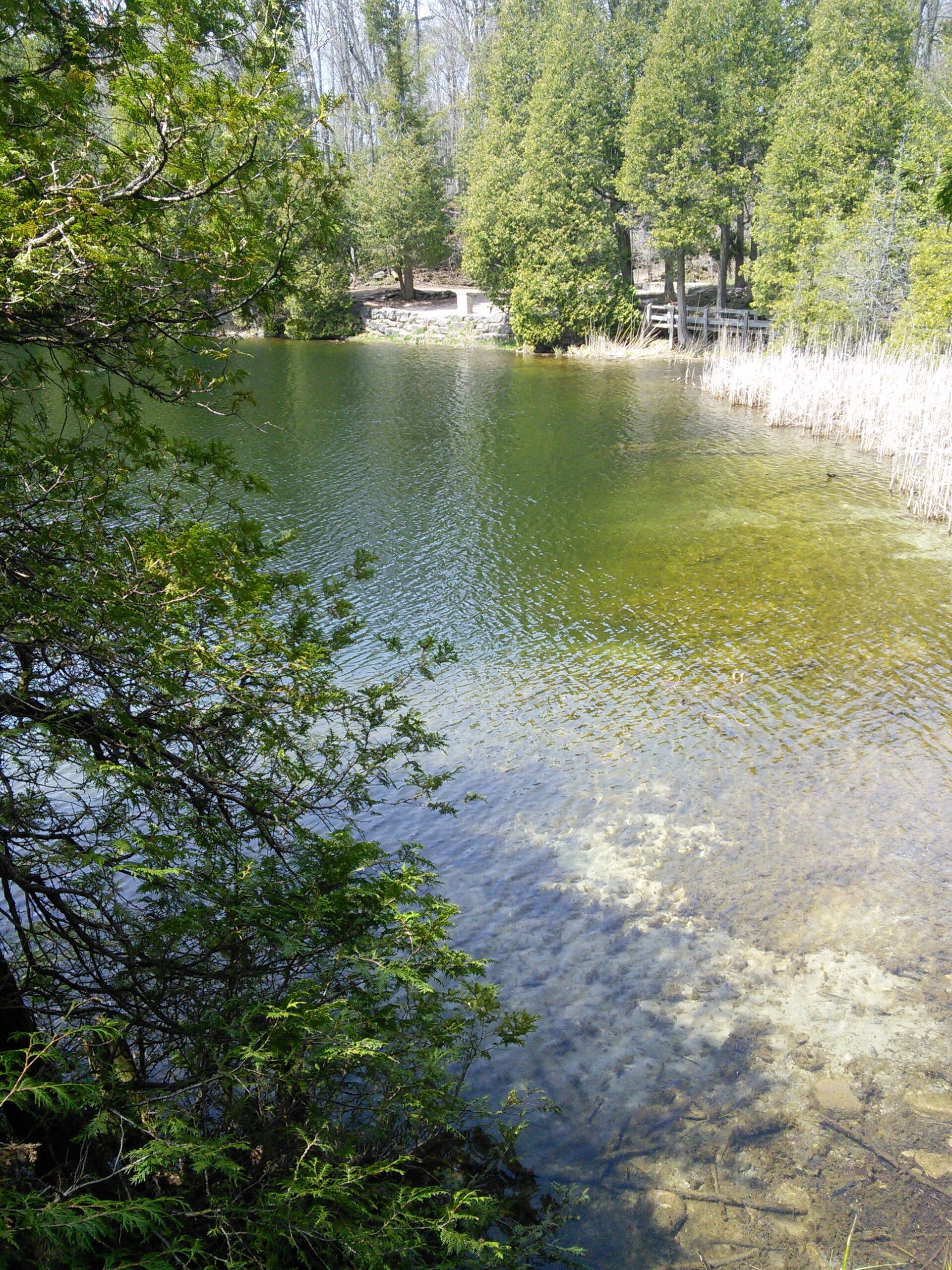 Crawford Lake Conservation Area Ontario Canada10 scaled