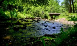 128 River 1020x612 1